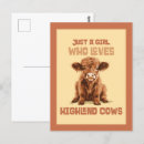 Search for scottish highland cow postcards Cows