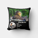 Search for pine marten Animal