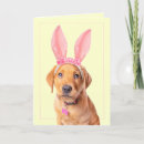 Search for labrador easter cards Bunny ears