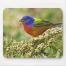 Search for migrator electronics Nature