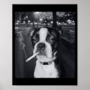 Search for funny cigarette posters Culture