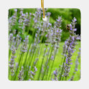 Search for lavender ornaments Summer