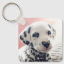 Search for dalmatian keychains Funny