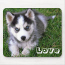 Search for siberian mousepads Puppy