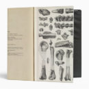 Search for report binders Mexico