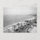 Recherche de palmier noir et blanc cartes postales Vacances