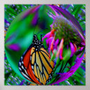 Search for monarch butterfly posters Animal