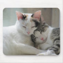 Search for sleeping cat mousepads Kitten