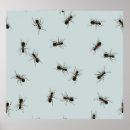 Search for ant posters Background