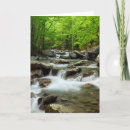 Search for smokey mountain cards Foliage