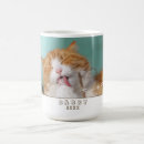 Recherche de image de chat tasses Cats