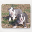 Search for two mousepads Cars