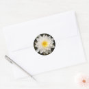 Search for white lotus stickers Pink