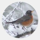 Search for american robin stickers Nature