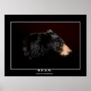 Recherche de ours noirs posters Animaux sauvages