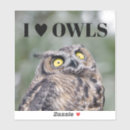 Search for owl love stickers Birds