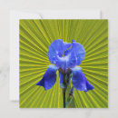 Search for iris cards Flower