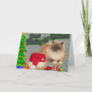 Search for ragdoll cat christmas cards Cats