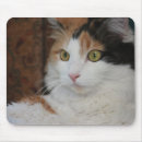 Search for long mousepads Pets