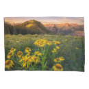 Search for colorado pillowcases Crested butte