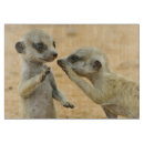 Recherche de mammifères planches à découper Faune