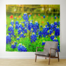 Search for bluebonnet art Fine