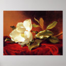 Search for red velvet posters Flower