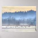 Recherche de canard en vol posters Nature