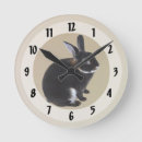Search for mini rex posters Rabbit