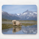 Search for steve mousepads Usa