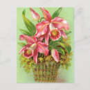 Recherche de orchidée rose cartes postales Fleurs