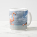 Recherche de beaches tasses Aruba