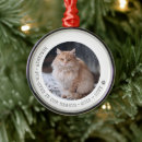 Search for bird pet memorials In loving memory