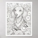 Search for cute dachshund posters Illustration