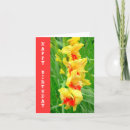 Search for bright red flower cards Flowers
