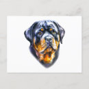Search for rottweiler mommy postcards Dog