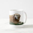 Search for mixed breed dog mugs Mutt