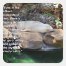 Search for sea lion stickers Walrus