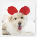 Search for bedroom labels Animal