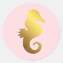 Search for pink seahorse stickers Aquatic