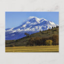 Recherche de shasta Californie