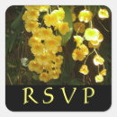 Search for yellow orchid stickers Nature