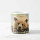 Search for bear cubs mugs Animals in the wild