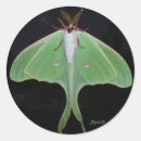 Recherche de luna moth stickers Nature