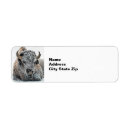 Search for american buffalo return address labels Animal