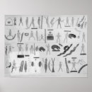 Search for seth posters Eastman