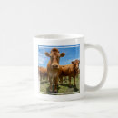 Search for brown bull mugs Cattle