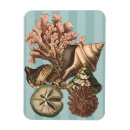 Recherche de style nautique magnets Coquillage