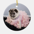 Search for pickle ornaments Cute