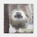 Search for sloth magnets Funny